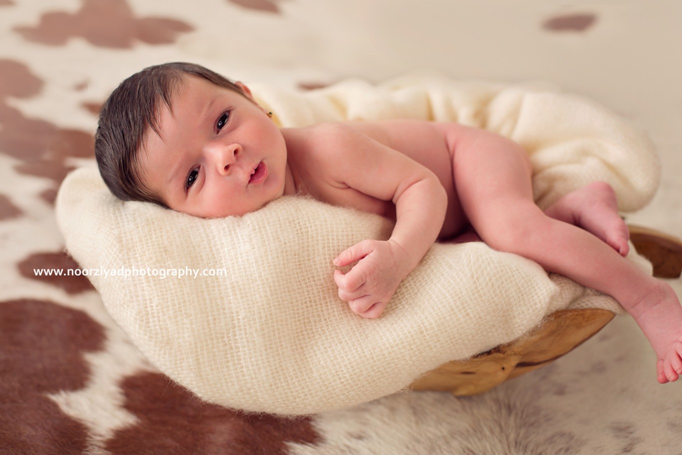 amman newborn photographer 