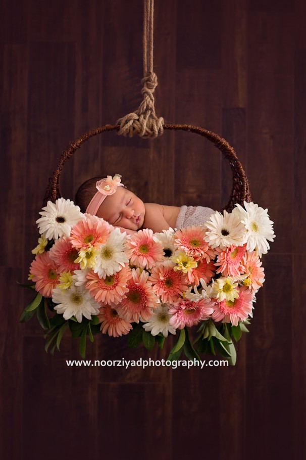 amman newborn photographer 