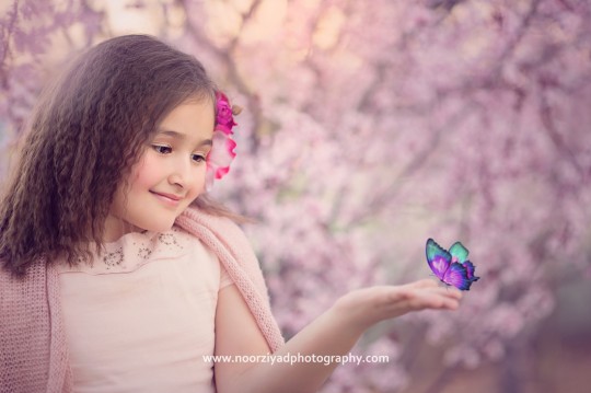 spring in amman sessions